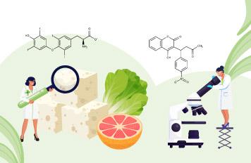 Interacciones entre alimentos y medicamentos